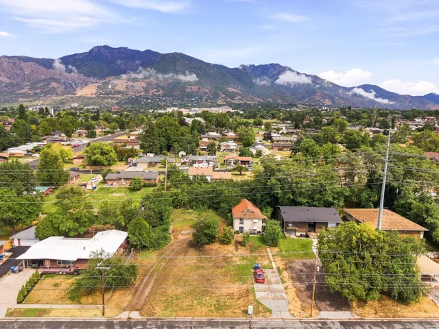 Expansive undeveloped lot with existing paved driveway and surrounding mature trees