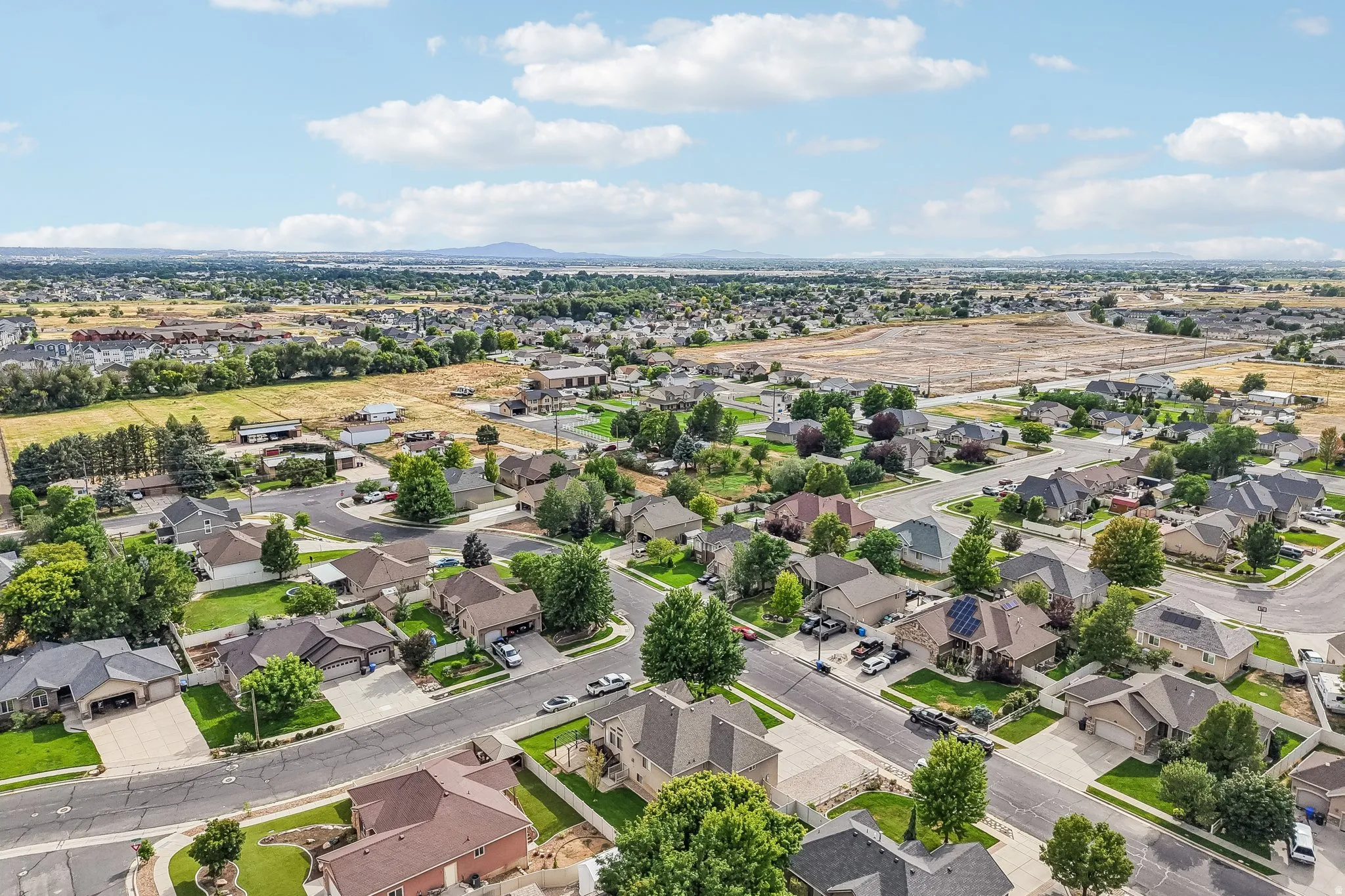 Expansive residential neighborhood with mature trees and paved streets