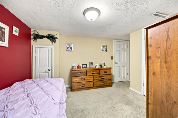 White paneled doors, neutral carpet flooring, and a flush mount ceiling light fixture