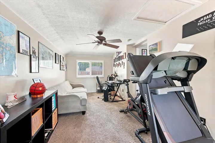 Carpeted flooring, ceiling fan, and window with plantation shutters