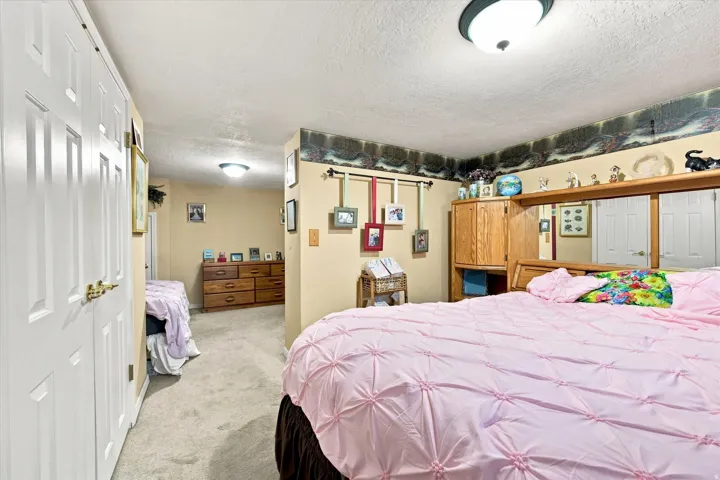 Carpeted flooring, white paneled doors, ceiling-mounted light fixtures, built-in wooden cabinetry, and wall shelf