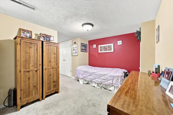 Light-colored carpeting, ceiling-mounted light fixture, and a white paneled door