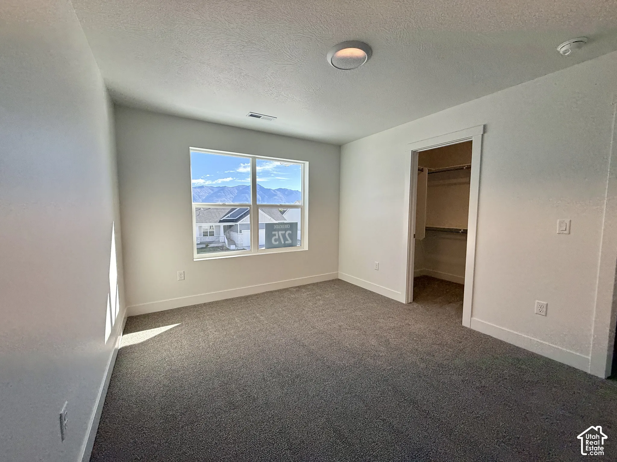 Interior space featuring neutral wall tones, wall-to-wall carpeting, a window with mountain scenery, and a walk-in closet with built-in shelving