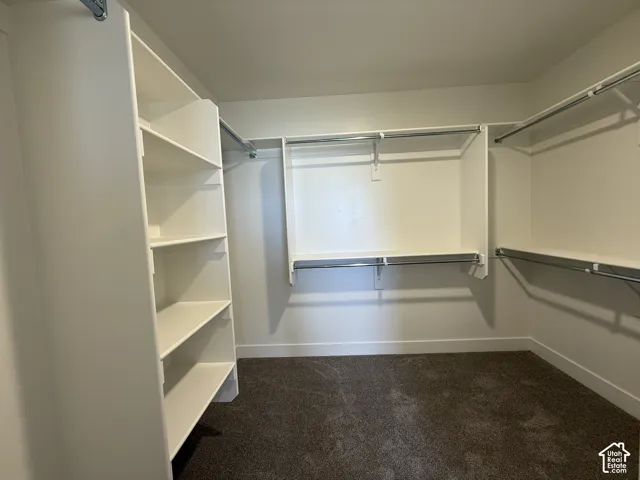 Built-in shelving, multiple hanging rods, white-painted walls, and carpet flooring