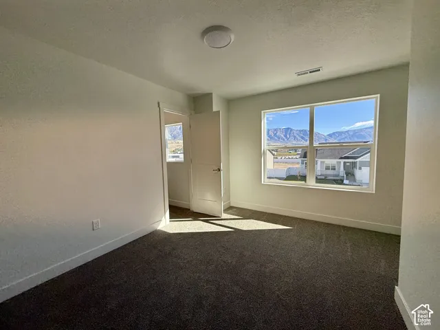 Interior space featuring neutral wall tones, carpeted flooring, a ceiling-mounted light fixture, and large dual-pane windows with mountain range scenery