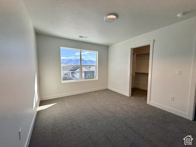 Interior space featuring neutral wall tones, wall-to-wall carpeting, a window with mountain scenery, and a walk-in closet with built-in shelving
