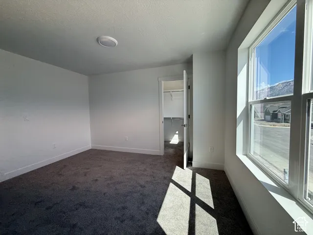 Recessed ceiling light, neutral wall paint, dark grey carpet, white trim throughout, and a walk-in closet with shelving
