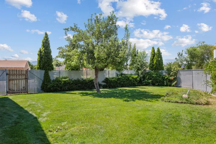 Expansive green lawn with established trees and perimeter fencing