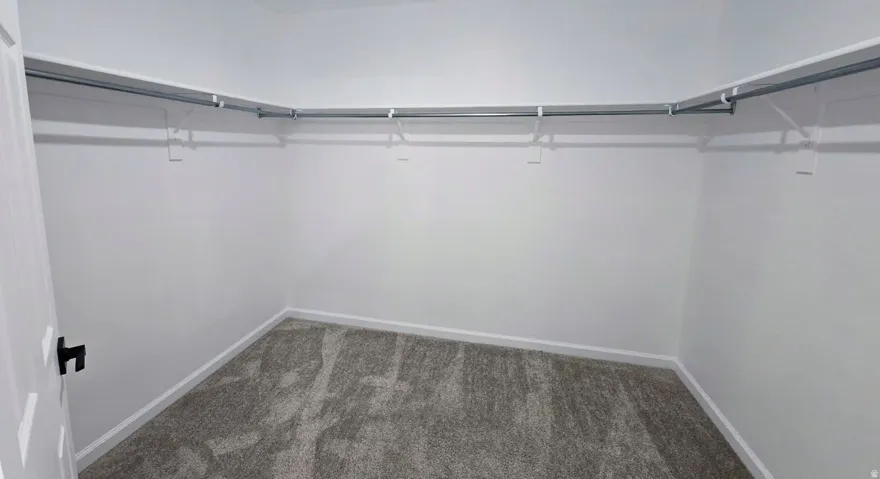 Wall-to-wall carpeting with integrated closet shelving and hanging rods