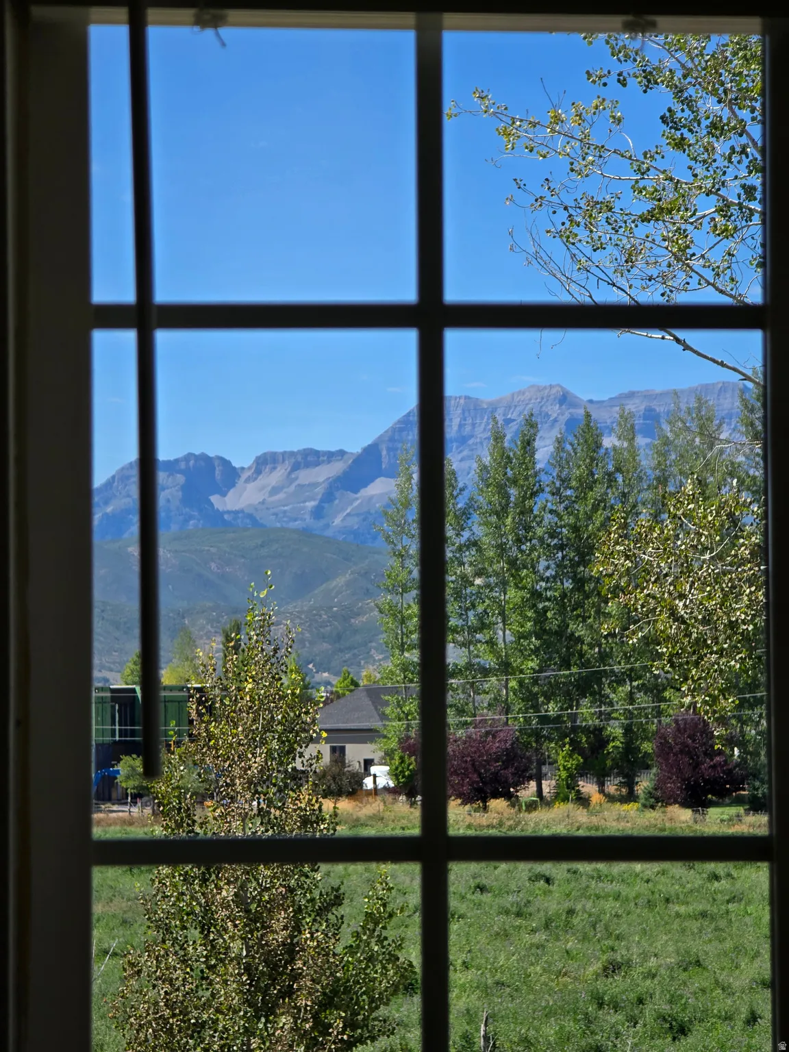 Window with grids framing a clear mountain range, natural landscaping, and open green space