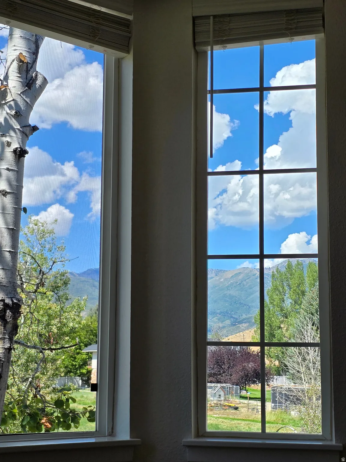 Large windows with white trim, offering a mountain backdrop, mature trees, and an expansive outdoor setting