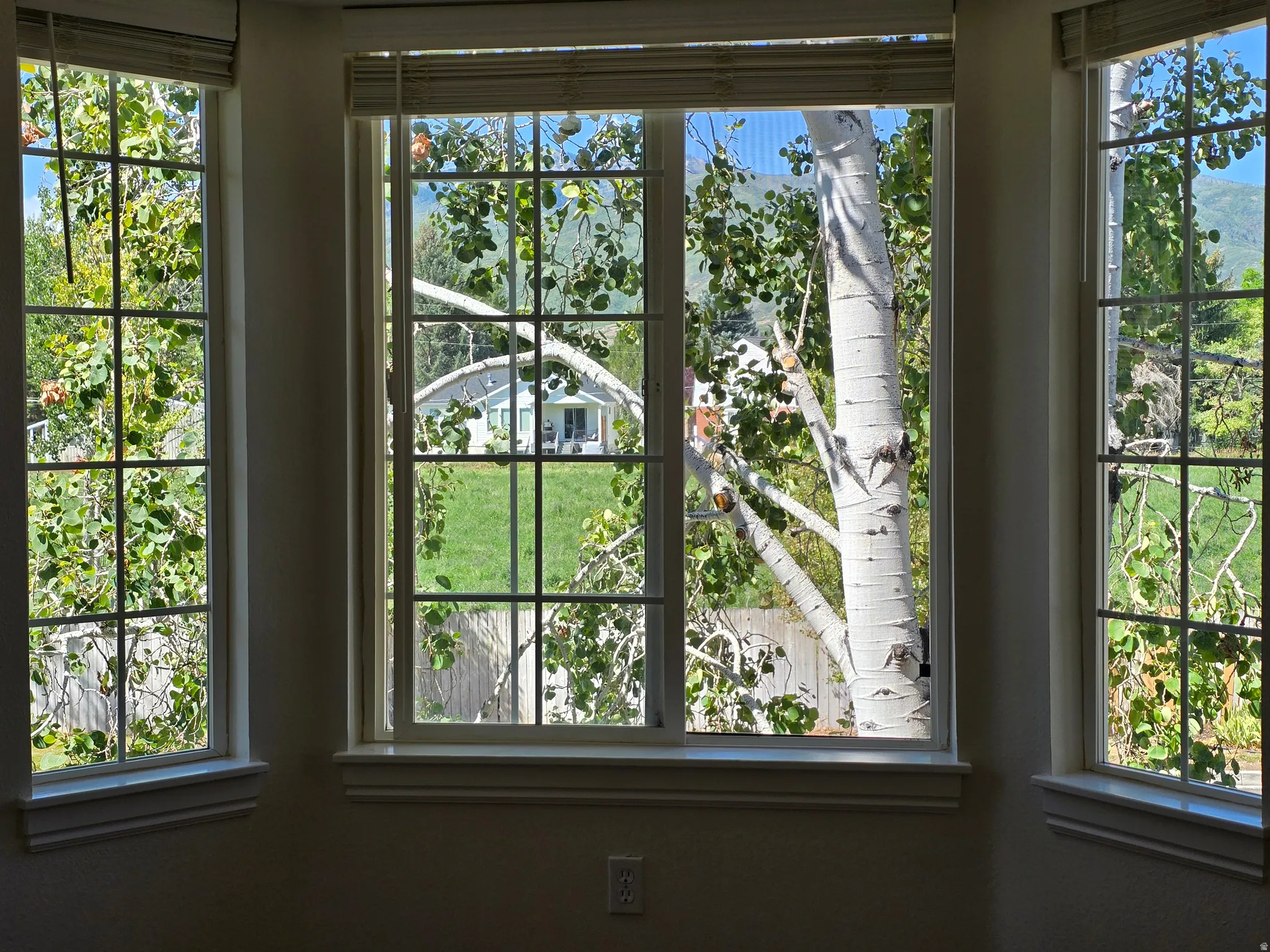 Bay window with multiple grid-patterned windows and a tree-lined exterior
