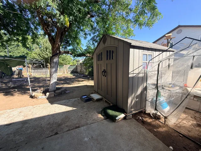 Expansive concrete patio area with a freestanding storage shed and a large mature shade tree