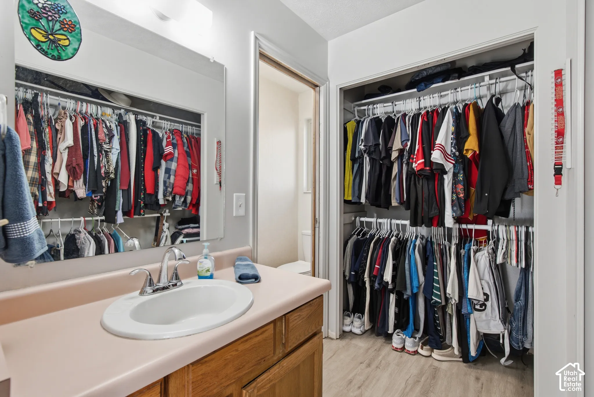 Vanity with an oval sink and chrome faucet, large rectangular mirror, and built-in closet with shelving and hanging storage
