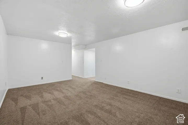 Neutral wall paint with textured ceilings, brown carpeting, and flush-mount ceiling lighting