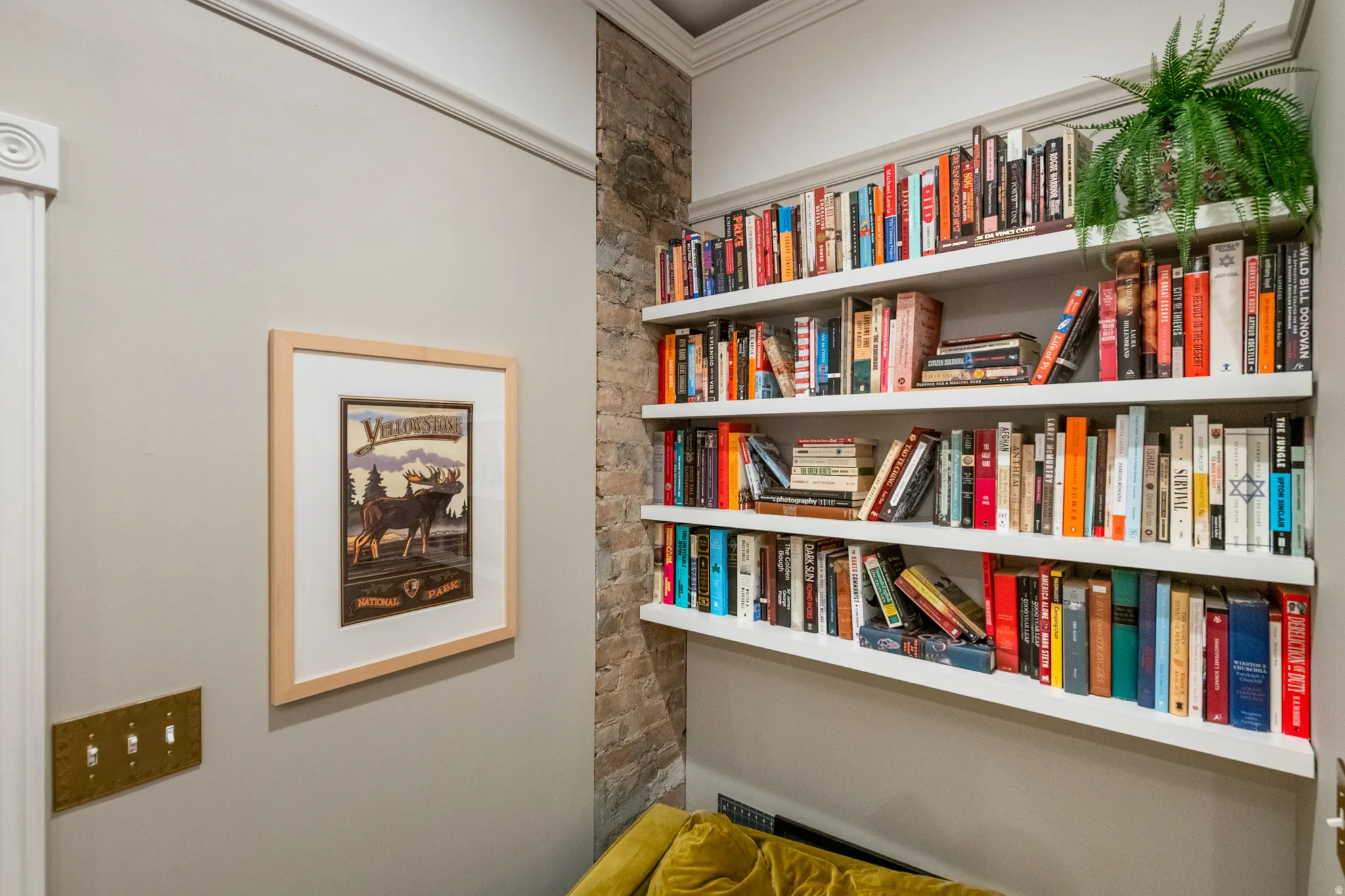 Built-in shelving with white finishes, exposed brick detailing, crown molding, and a light switch with a brass-finish cover plate