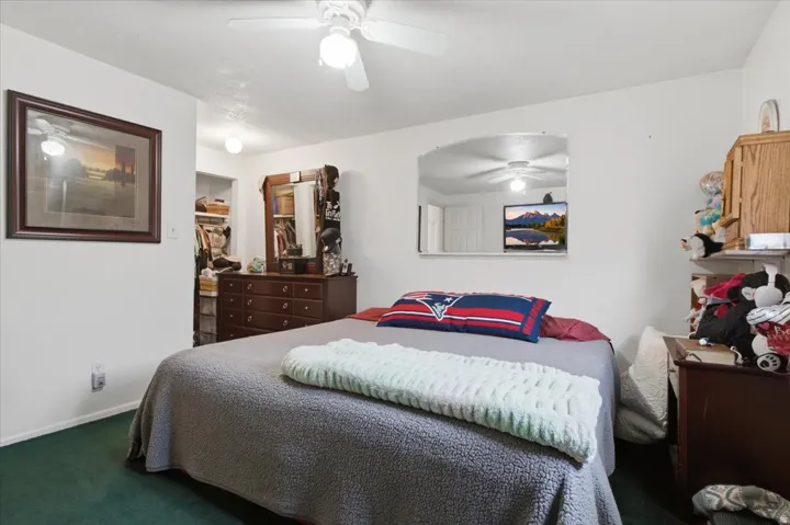 Recessed closet with built-in shelving, ceiling fan, and green carpeting