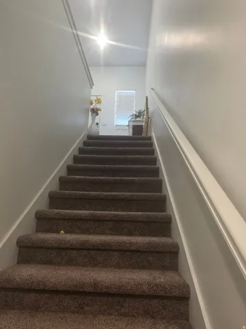 Carpeted staircase with white handrail and white wall finishes