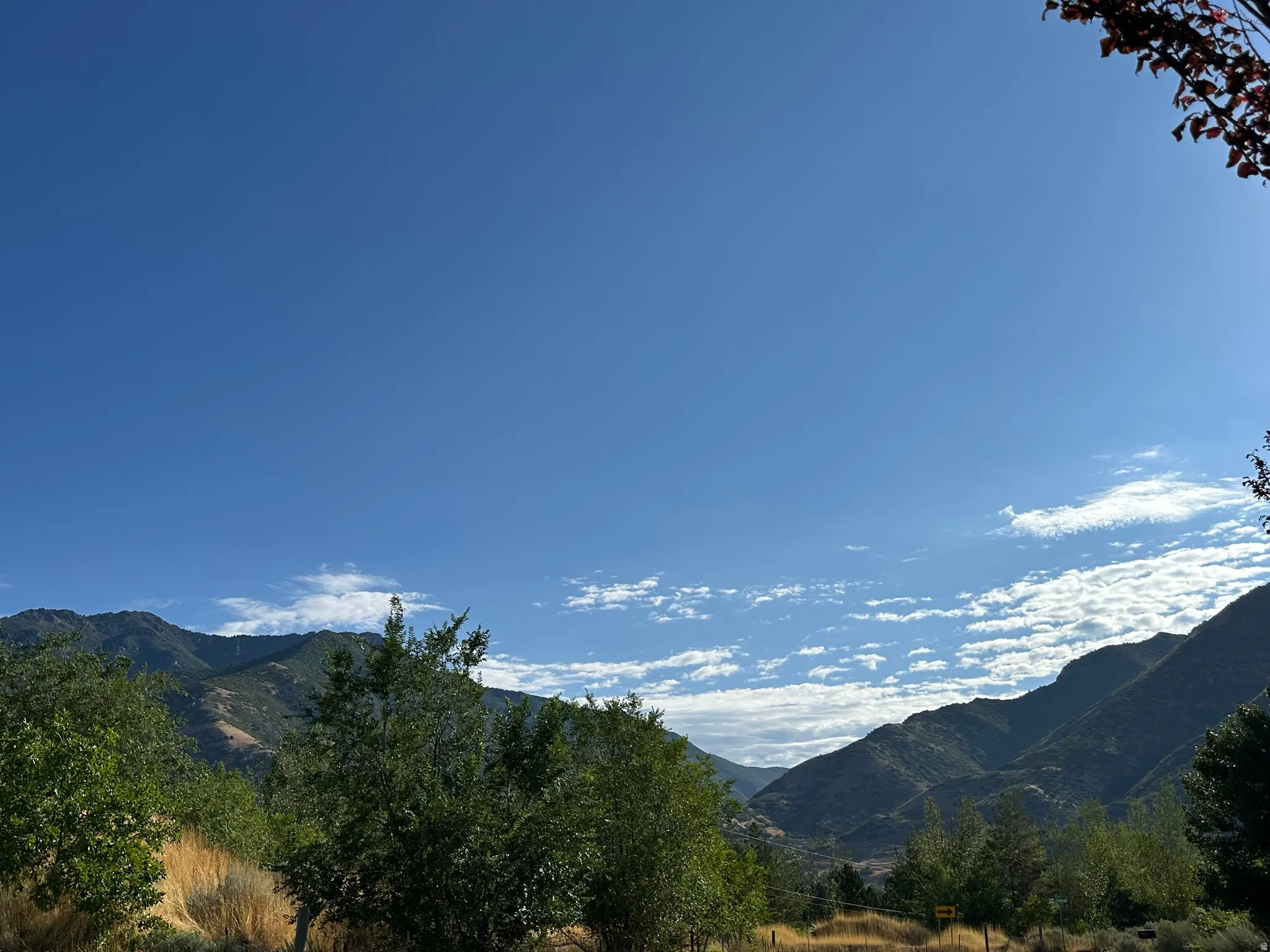 Good Morning Mountain View!