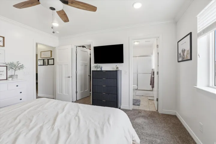 White walls, recessed lighting, crown molding, ceiling fan, and carpeted flooring