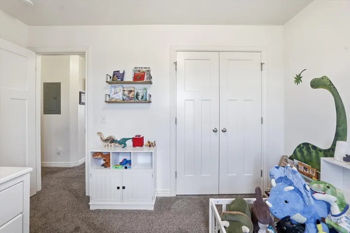 Double panel doors, wall-mounted shelving, and plush carpeting