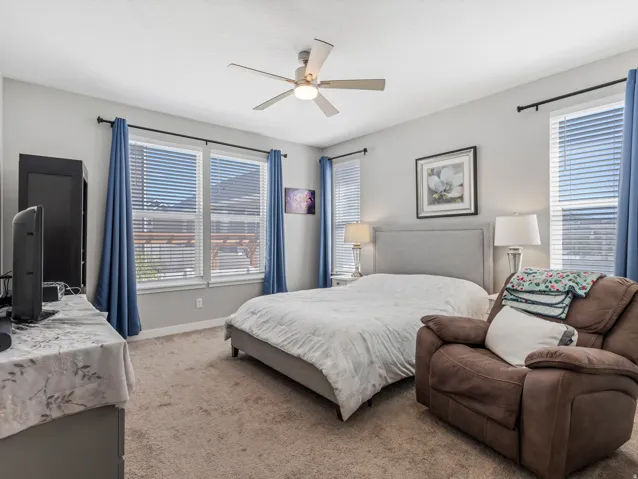 Carpeted bedroom featuring multiple windows, a ceiling fan with integrated lighting, and light gray wall paint