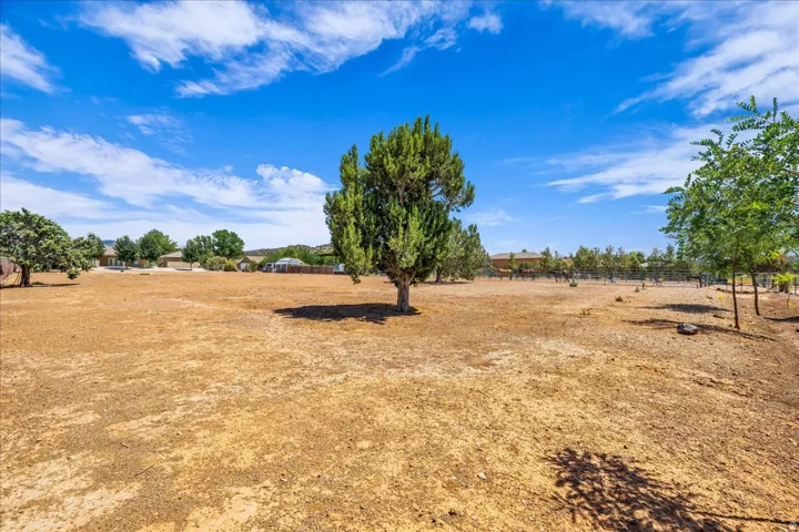 Expansive cleared lot with mature trees
