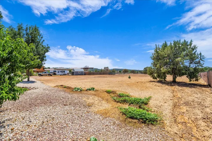 Expansive, undeveloped parcel featuring established trees and a gravel-covered area