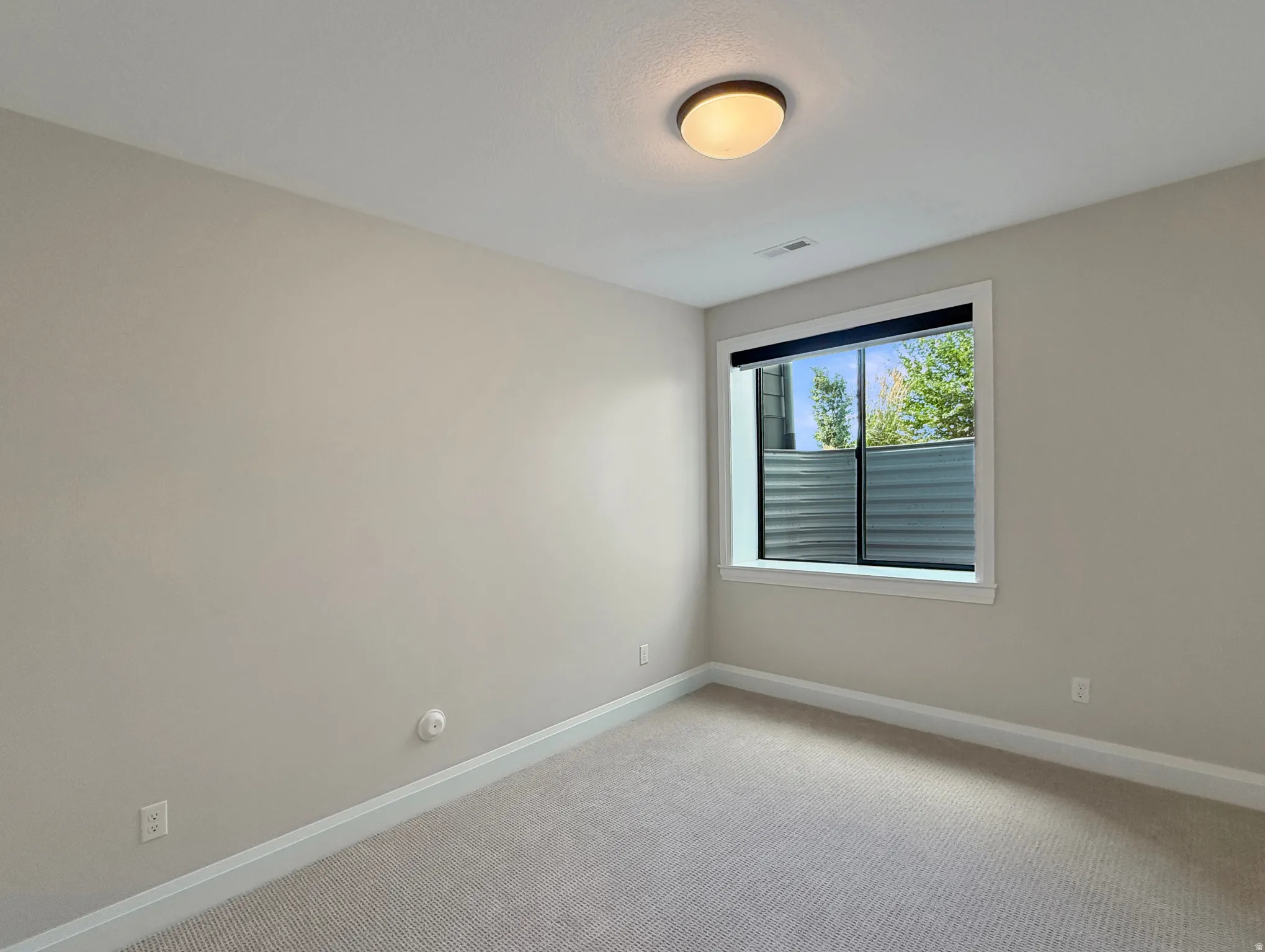 Neutral wall tones with a window, wall-to-wall carpeting, and an overhead light fixture
