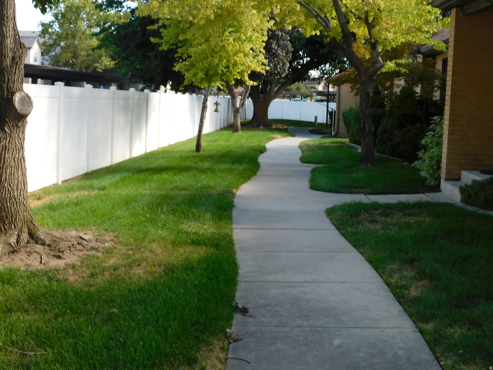 Curved concrete pathway with surrounding green lawn, mature trees, and a white privacy fence
