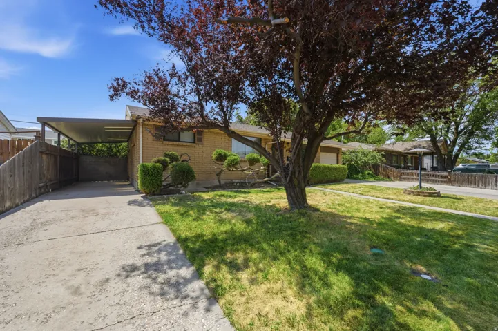 Brick exterior with a covered carport, concrete driveway, and front yard landscaping featuring mature trees and shrubs