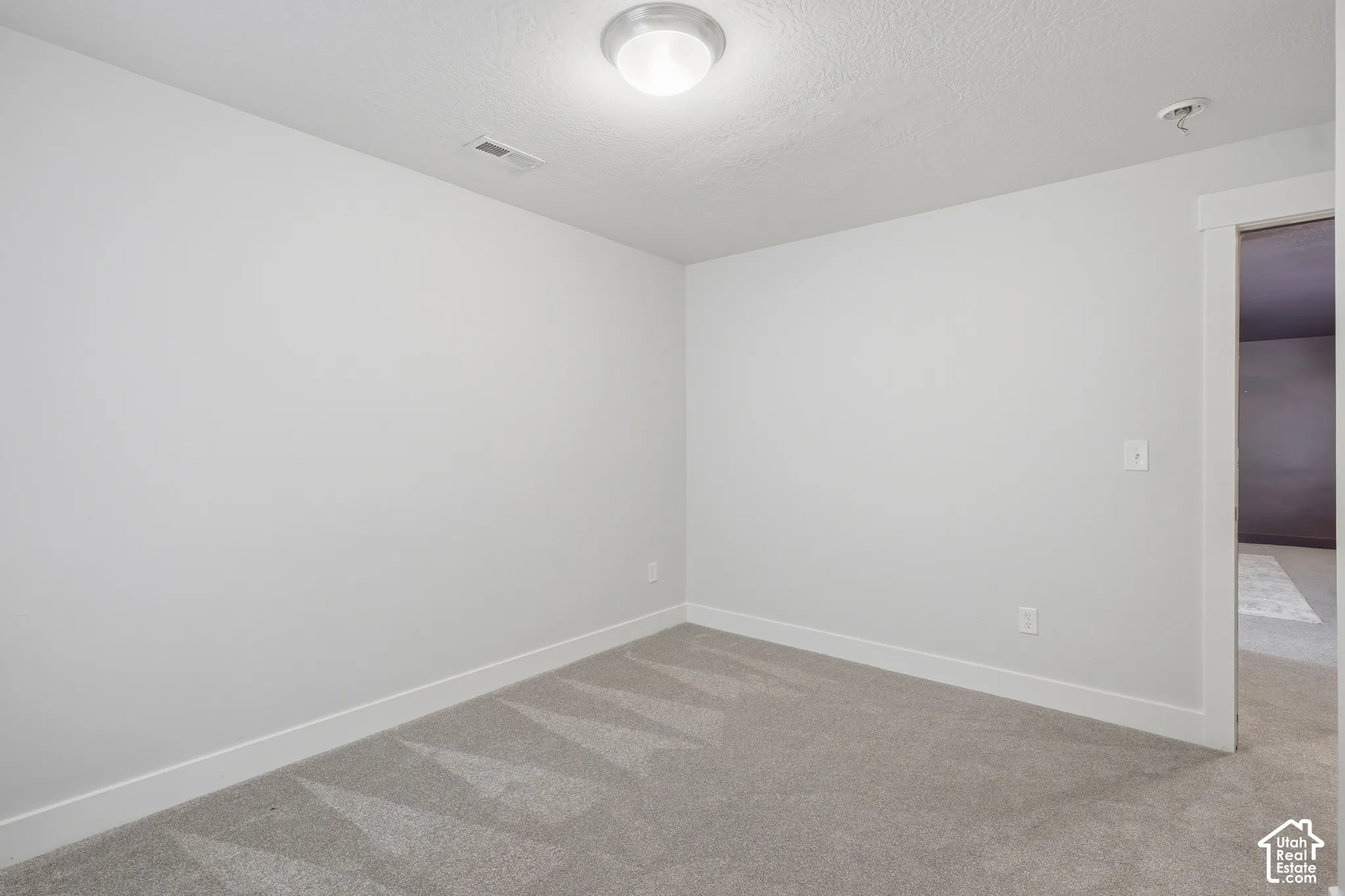 Plush grey carpet, white walls, and a contemporary flush-mount ceiling light