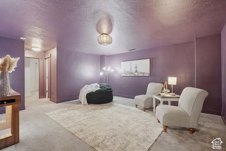 Carpeted flooring with a textured ceiling, painted walls, and built-in ceiling lighting