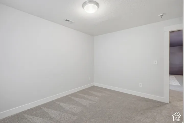 Plush grey carpet, white walls, and a contemporary flush-mount ceiling light