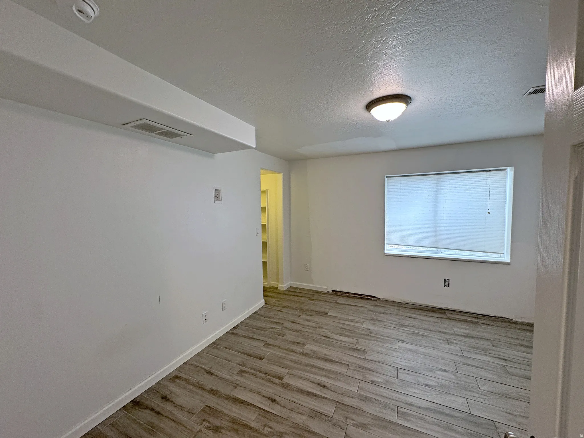 Wood-finish flooring, white walls, and a ceiling-mounted light fixture