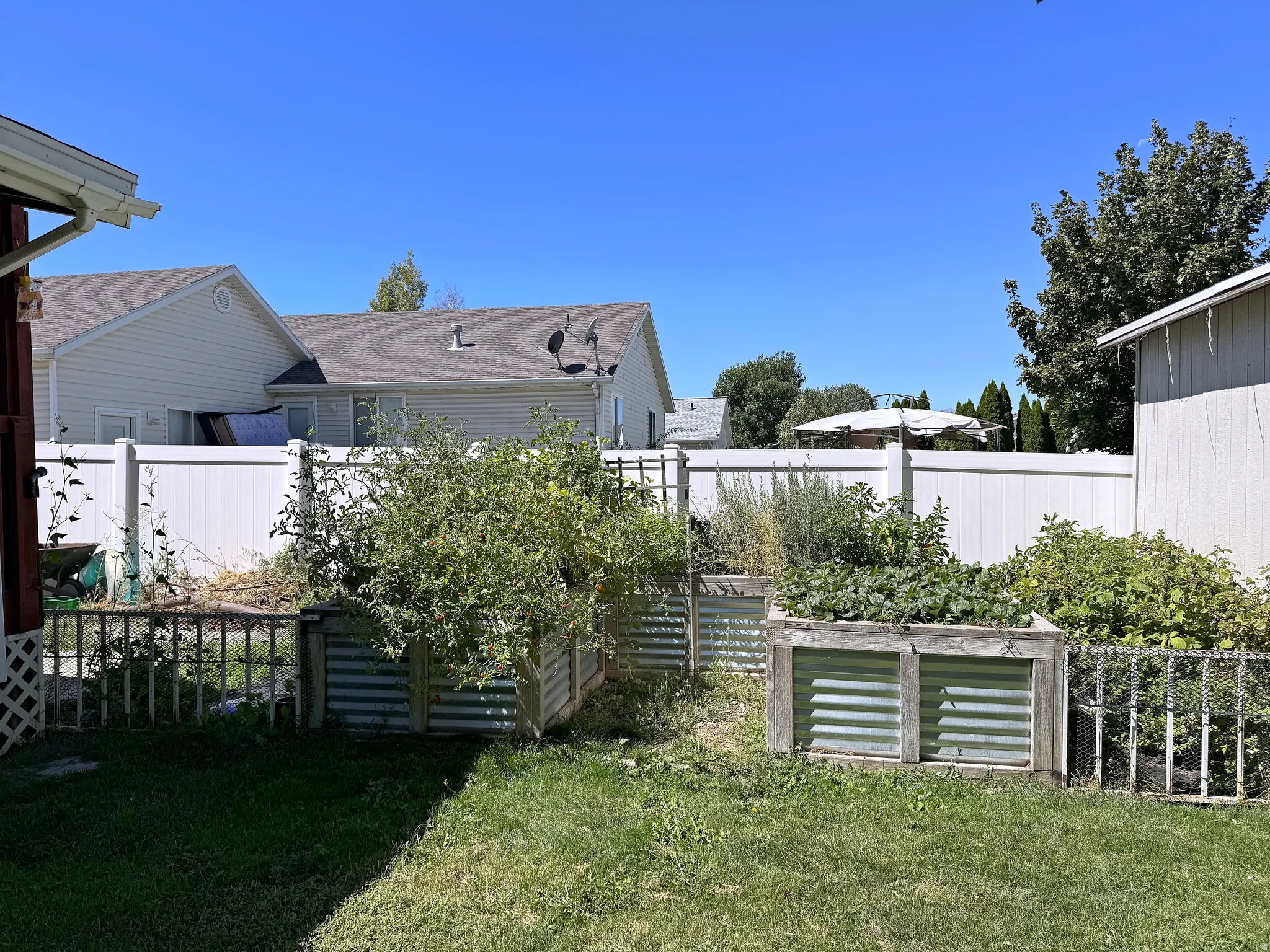 Backyard with raised garden beds, a white privacy fence, and grass landscaping