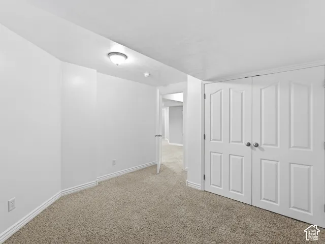 Plush carpeting, paneled bi-fold doors, white interior paint, and a ceiling-mounted light fixture