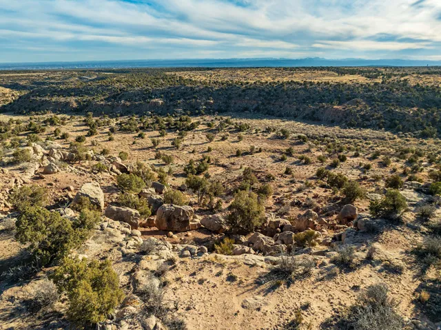 Expansive desert landscape with scattered shrubbery and rock formations