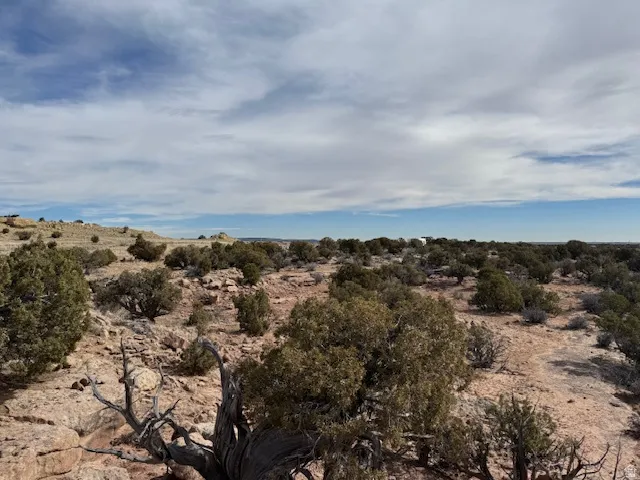 Expansive land featuring desert vegetation and visible rock formations
