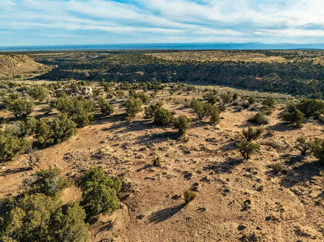 Expansive desert landscape featuring natural rock formations, scattered evergreen shrubs, and distant mountain ranges