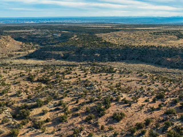 Expansive desert landscape featuring natural terrain and sparse vegetation