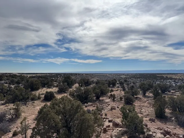 Expansive desert landscape featuring natural rock formations and abundant native vegetation under a vast sky