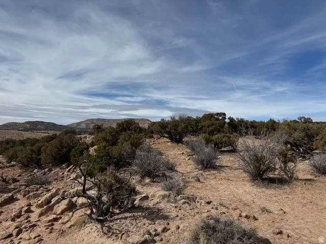 Rocky terrain with varied shrubbery, distant mesas, and a broad sky