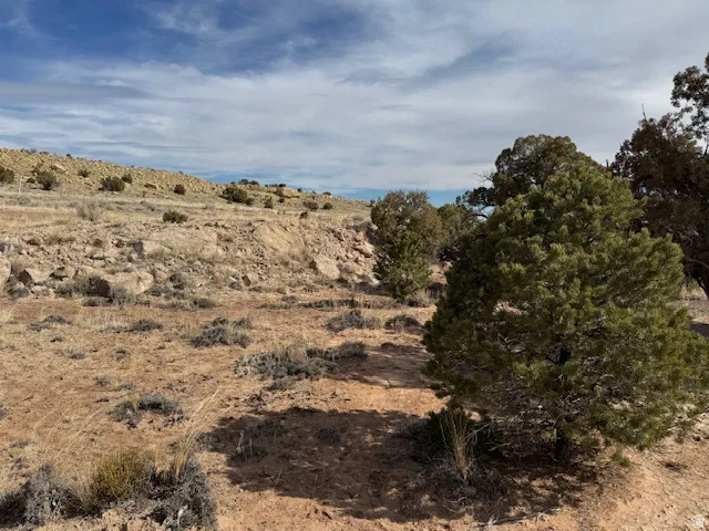 Expansive natural landscape featuring varied terrain, scattered vegetation, and distant hills