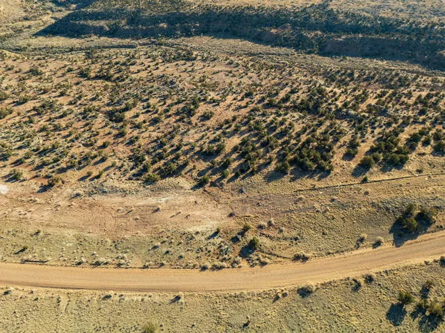 Expansive undeveloped land featuring a winding unpaved road, natural vegetation, and varied terrain