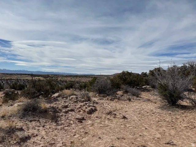 Expansive desert landscape with scattered low-lying vegetation