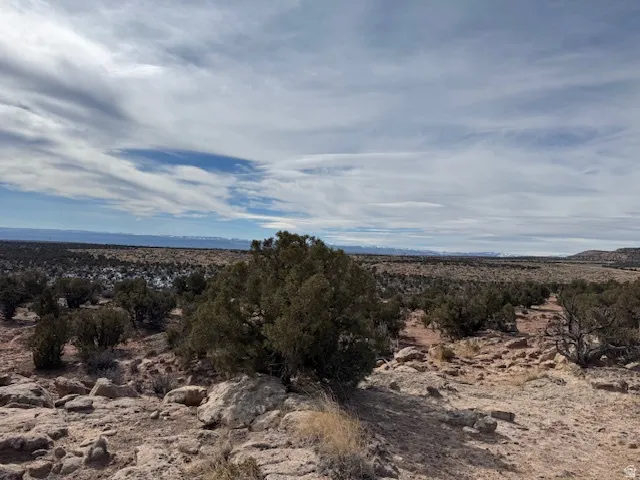 Expansive arid landscape featuring scattered evergreen shrubs and visible mountain ranges in the distance