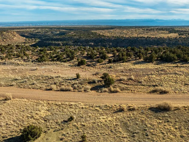 Expansive natural landscape with varied terrain and established vegetation