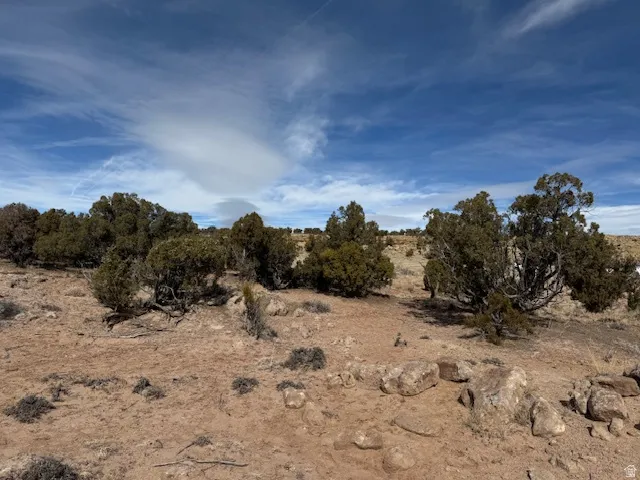 Expansive outdoor space featuring native shrubs, natural ground cover, and scattered rock formations