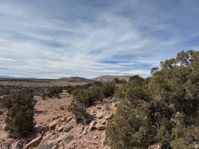 Expansive desert terrain featuring natural rock formations and abundant shrubbery